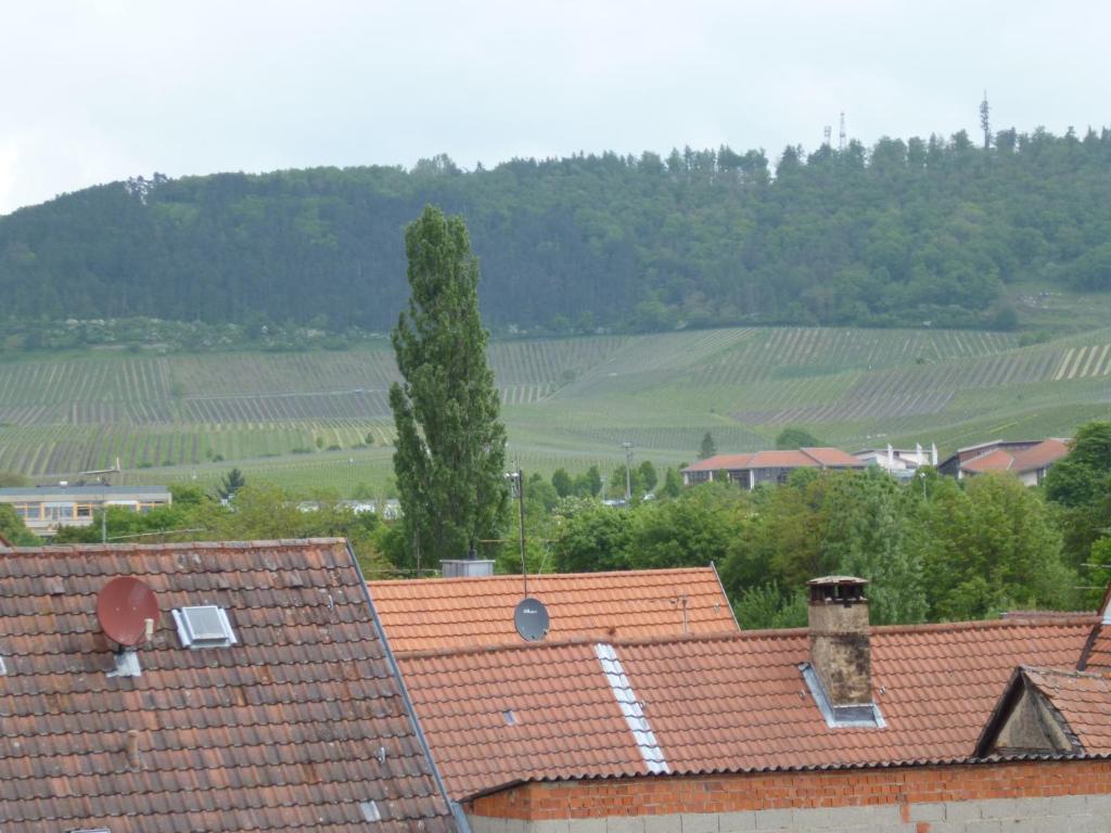 Hotel Garni Zum Hirschen Iphofen Exteriör bild